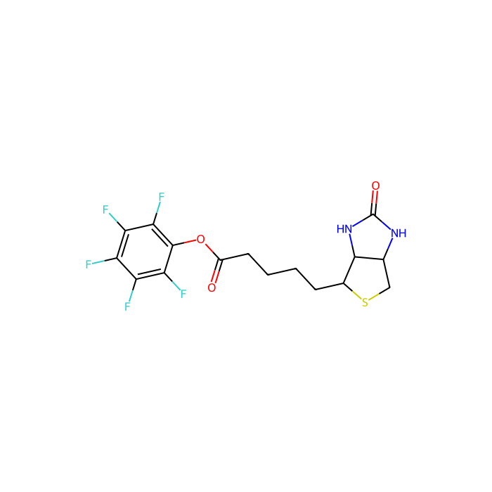 （+）-生物素-PFP-酯