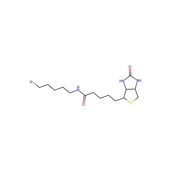 生物素5-溴戊酰胺