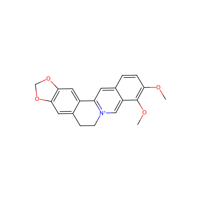 小檗碱, CYP2D6 抑制剂