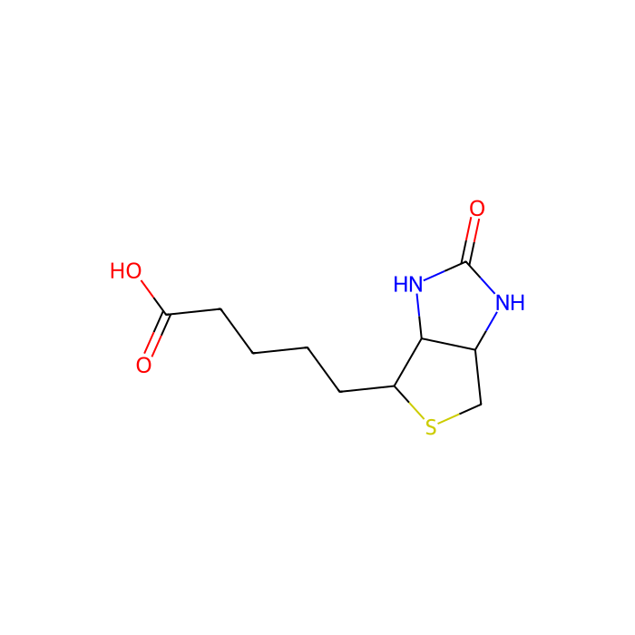 生物素