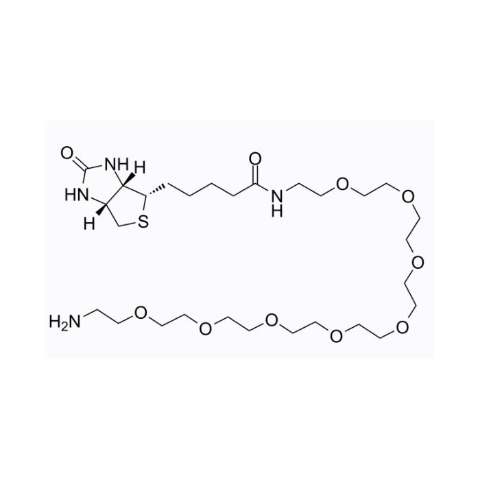 生物素-PEG8-胺