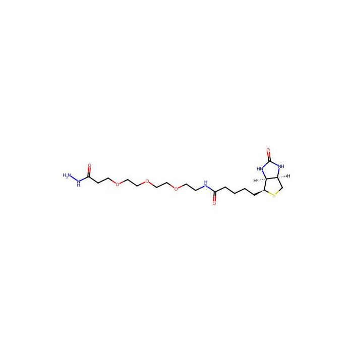 生物素-PEG3-酰肼