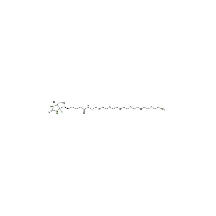 生物素-PEG6-胺