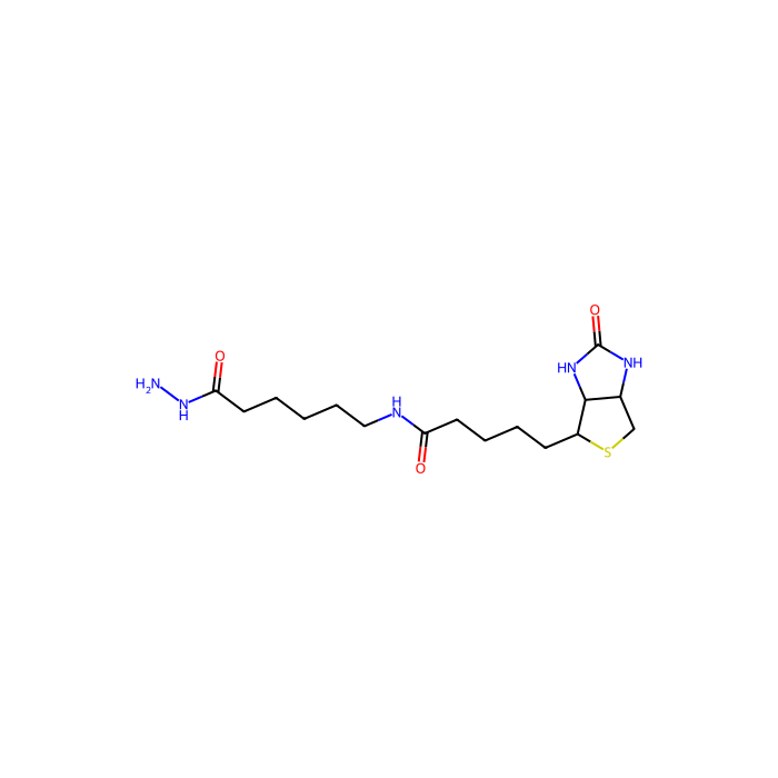 生物素-LC-酰肼