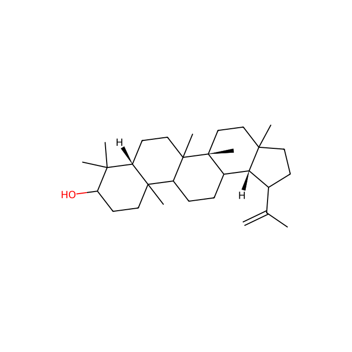 3beta-Hydroxy-20(29)-lupene