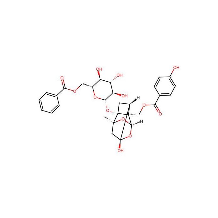 Benzoyloxypaeoniflorin