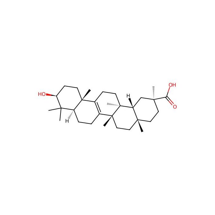 Bryonolic acid