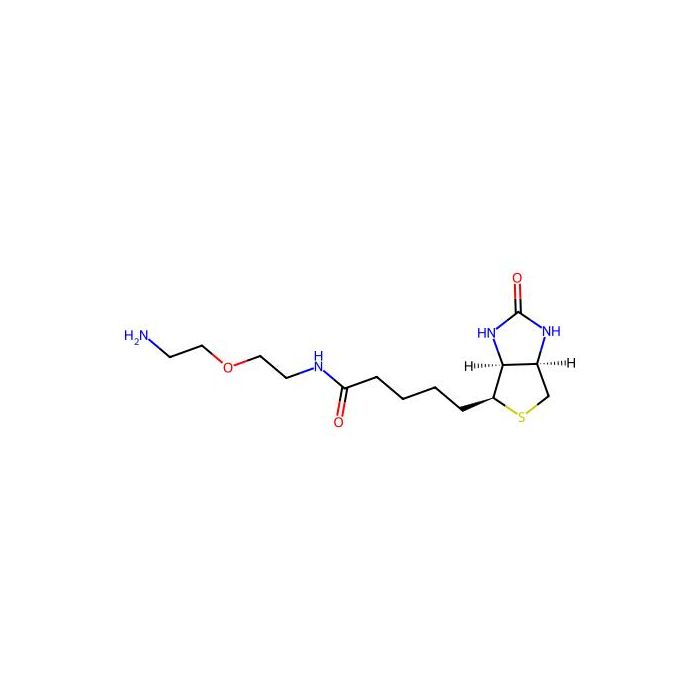 Biotin-PEG1-NH2