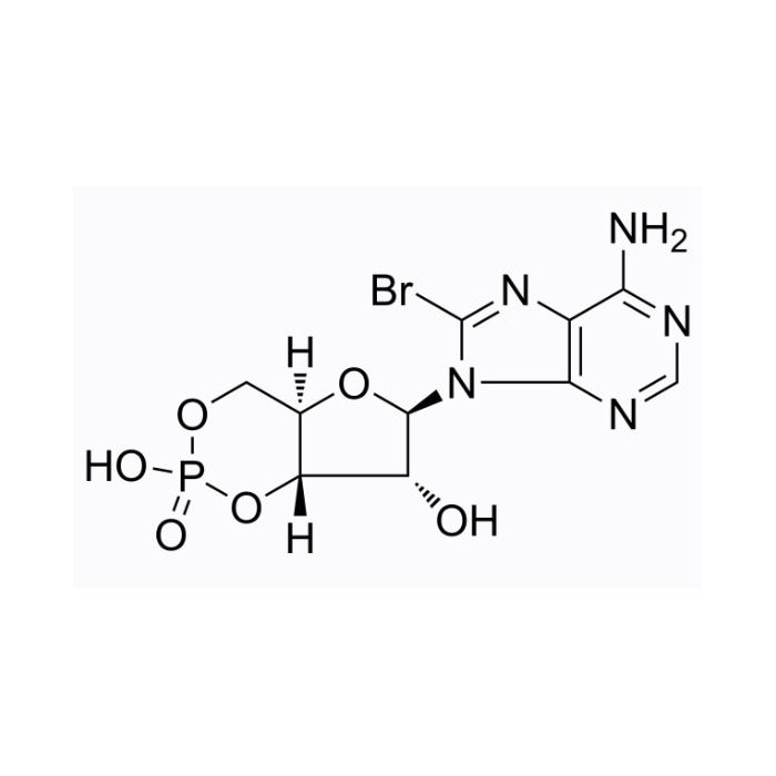 8-溴腺苷-3′,5′-环单磷酸