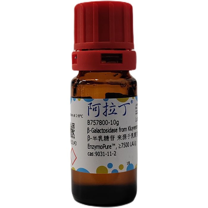 β-半乳糖苷 来源于乳酸克鲁维酵母