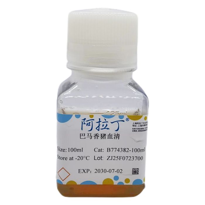 巴马香猪血清