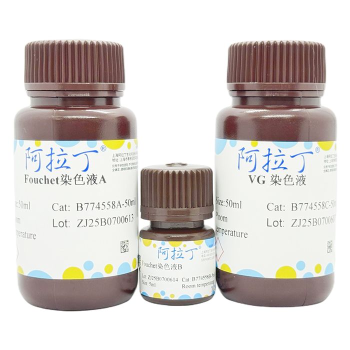 胆色素染色液 (改良Fouchet法)