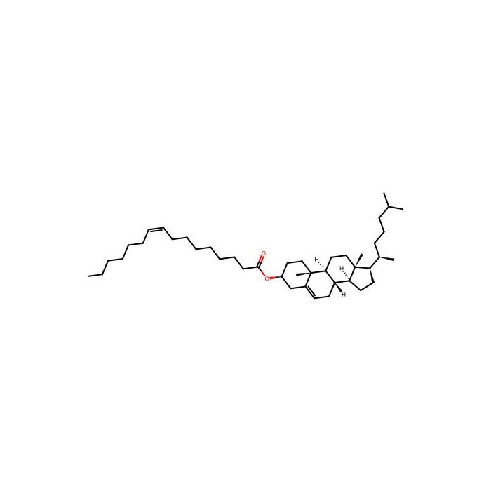 Cholesteryl palmitoleate