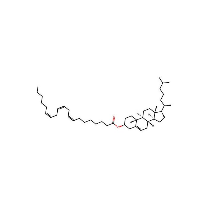 20:3 Cholesteryl ester
