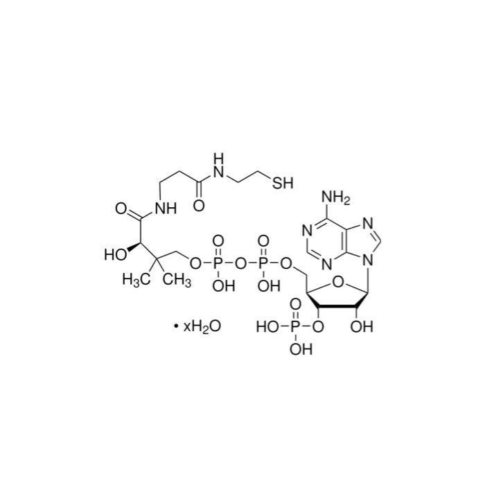 辅酶A水合物(游离酸)