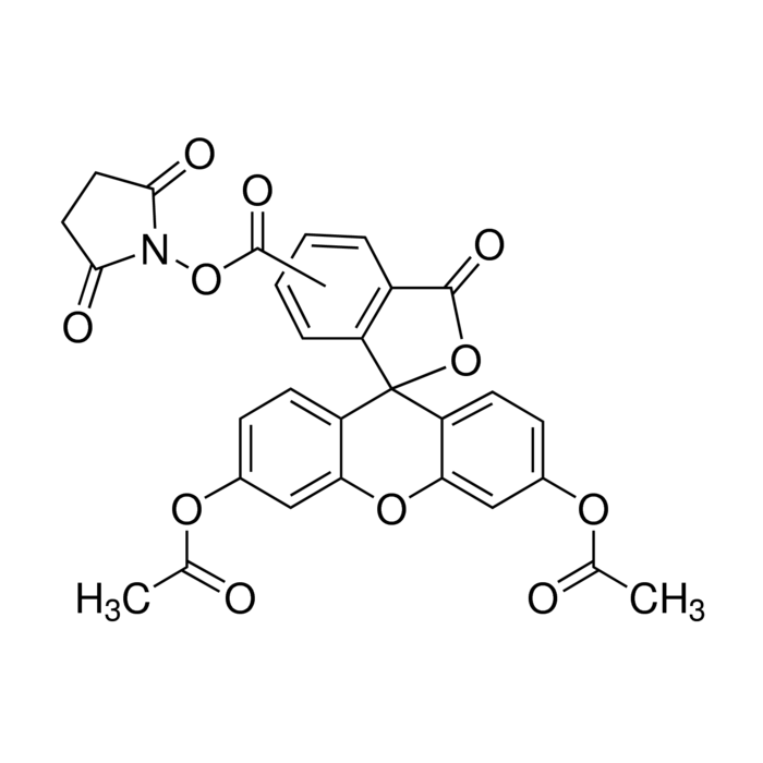 5(6)-羧基二乙酸荧光素琥珀酰亚胺酯（CFDA）