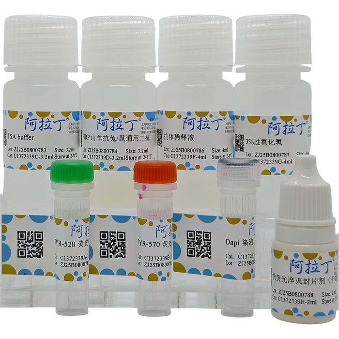 三色多重荧光染色试剂盒（鼠兔通用二抗）