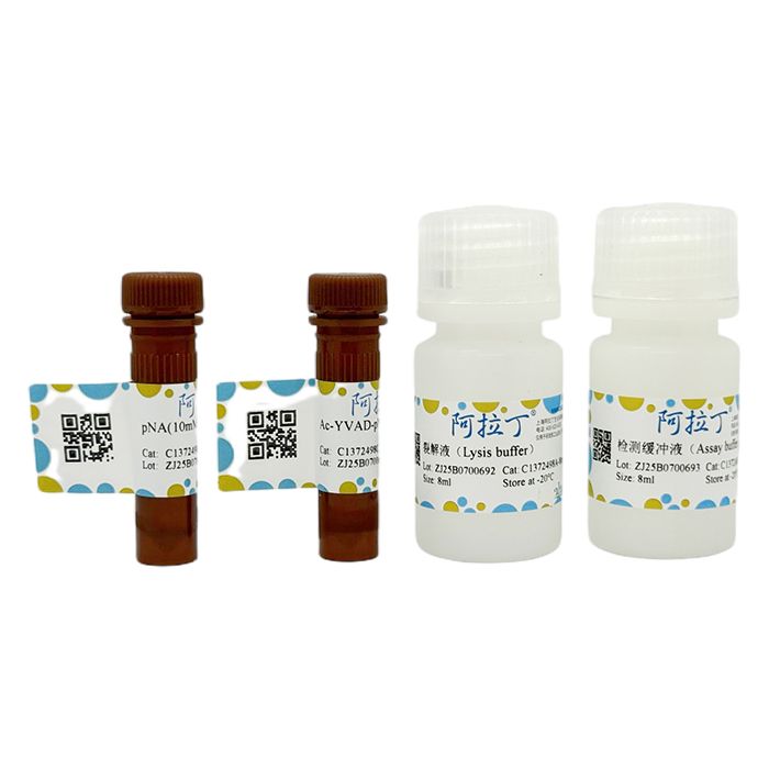 Caspase 1 活性检测试剂盒