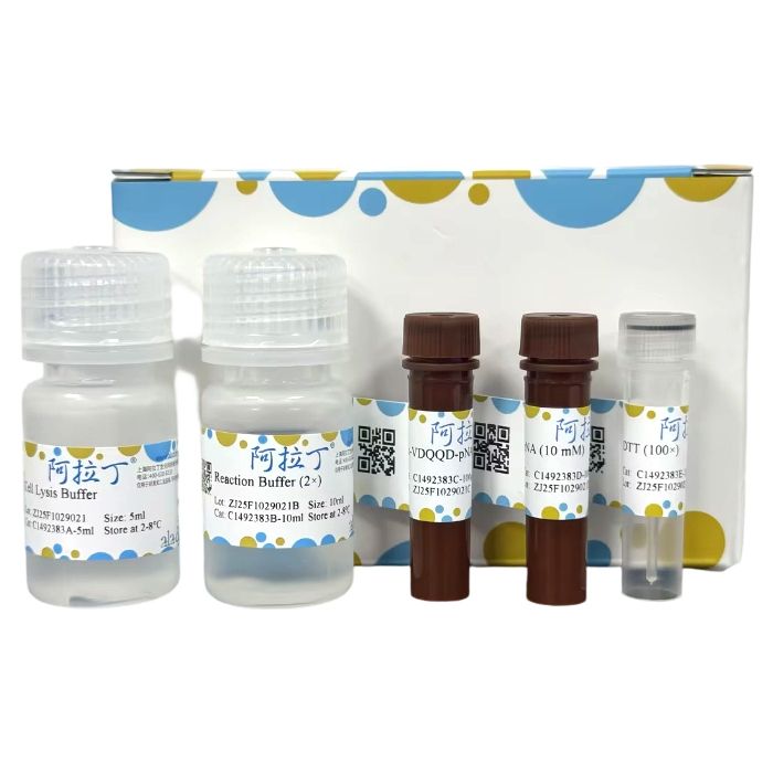 Caspase 2 活性检测试剂盒