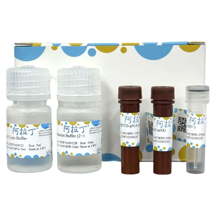Caspase 3 活性检测试剂盒