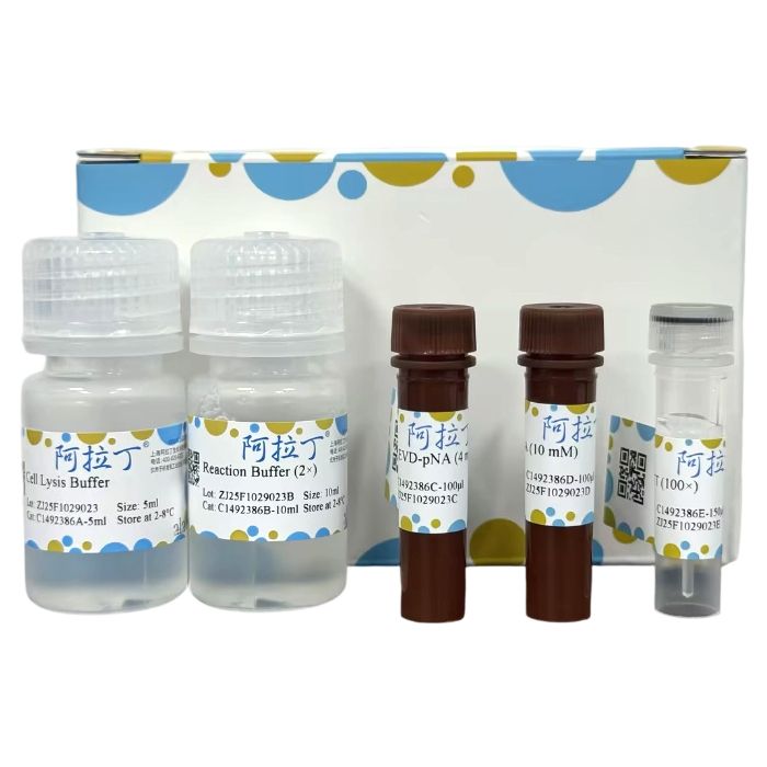 Caspase 4 活性检测试剂盒