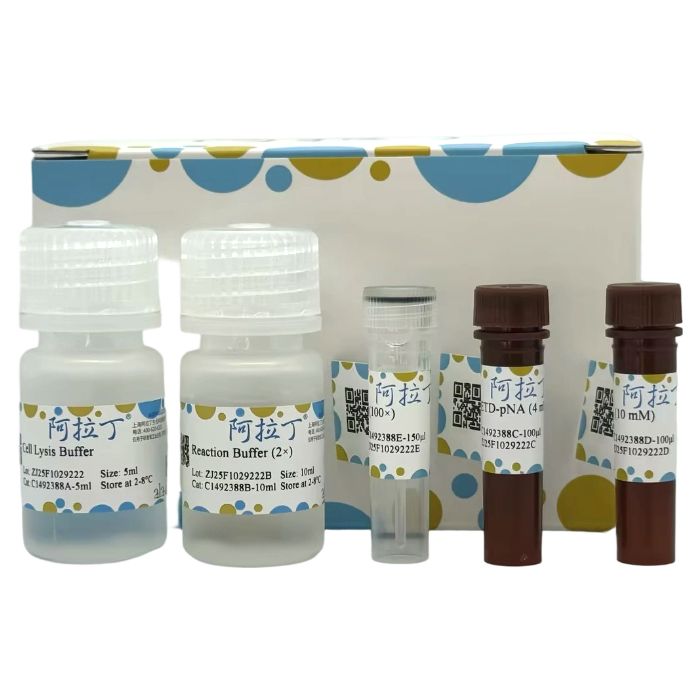 Caspase 8 活性检测试剂盒