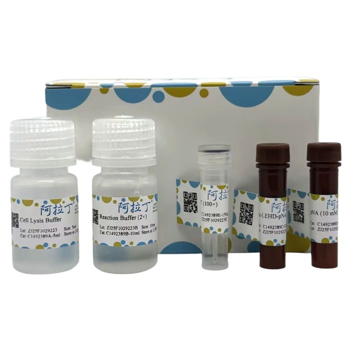 Caspase 9 活性检测试剂盒