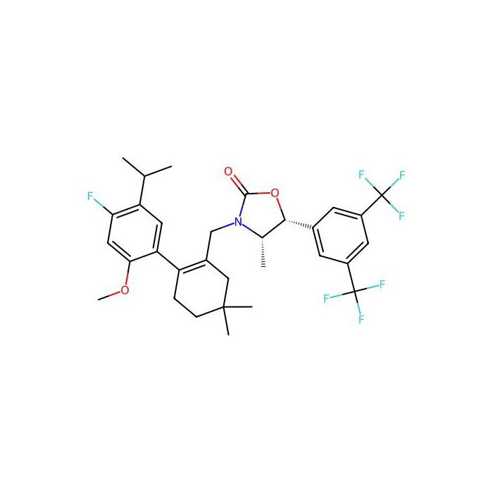 CKD-519
