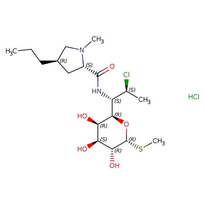 克林霉素 盐酸盐, 细菌 70S 核糖体抑制剂