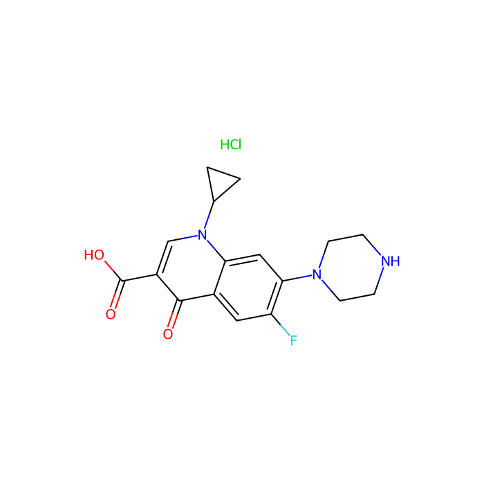 环丙沙星盐酸盐, 拓扑异构酶 IV