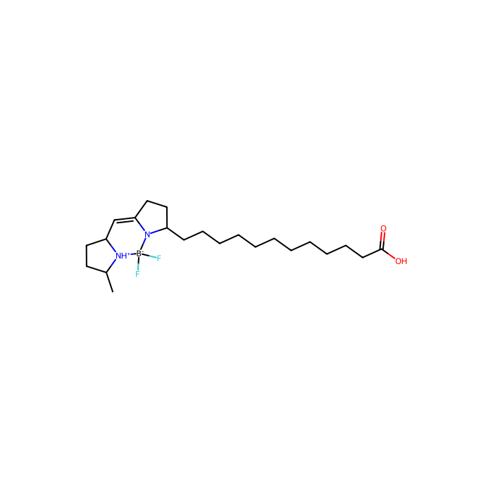 C1-BODIPY-C12