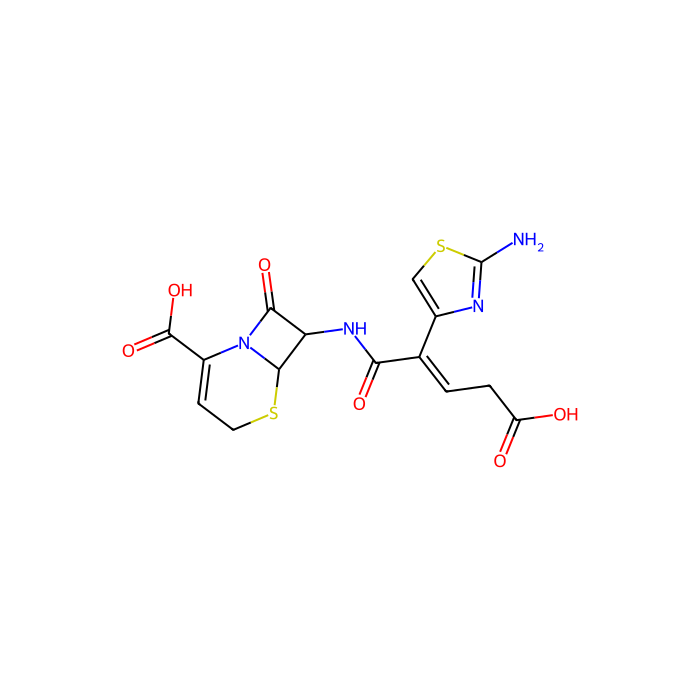 ceftibuten, 细菌青霉素结合蛋白抑制剂