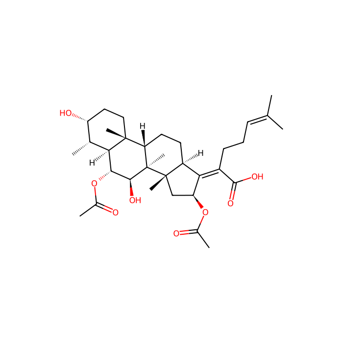 cephalosporin P₁