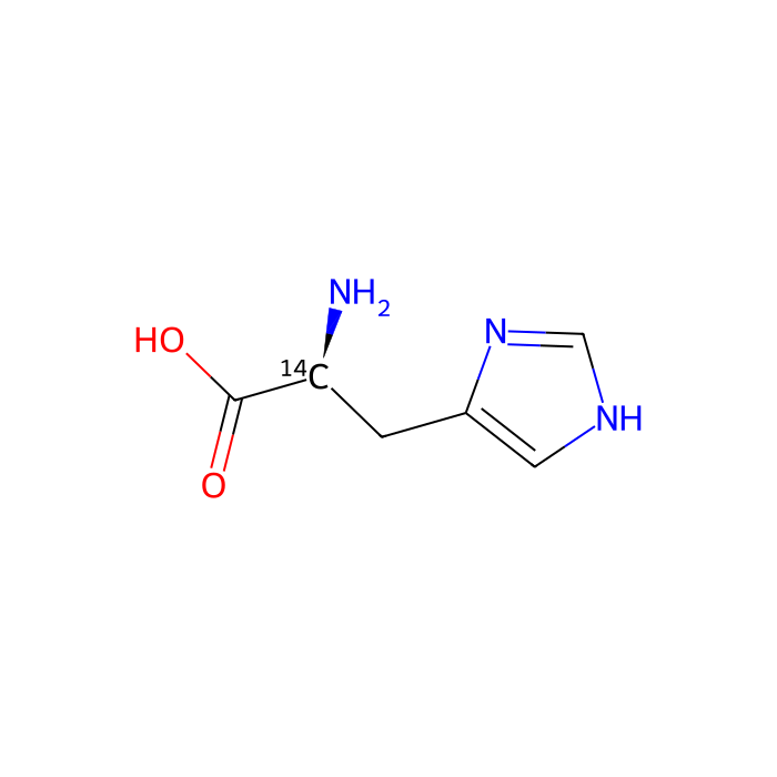 [¹⁴C]histidine, 肽转运体 3;肽转运体 4;钠偶联中性氨基酸转运体 5