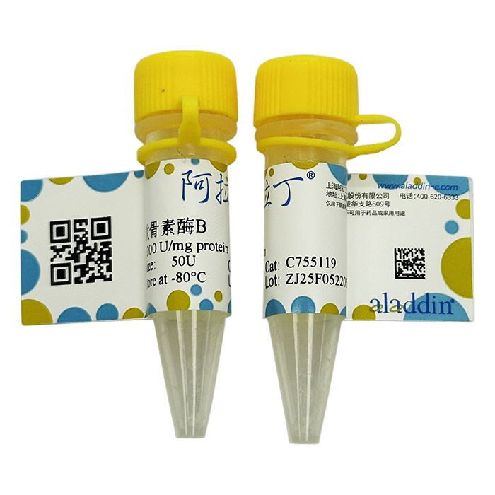 重组软骨素酶B