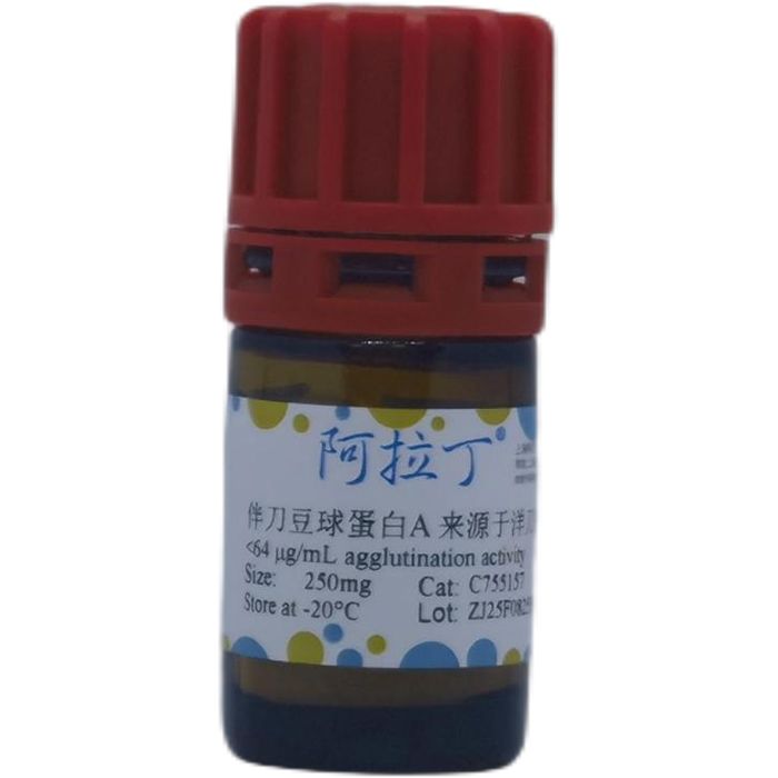 伴刀豆球蛋白A 来源于洋刀豆 (刀豆)