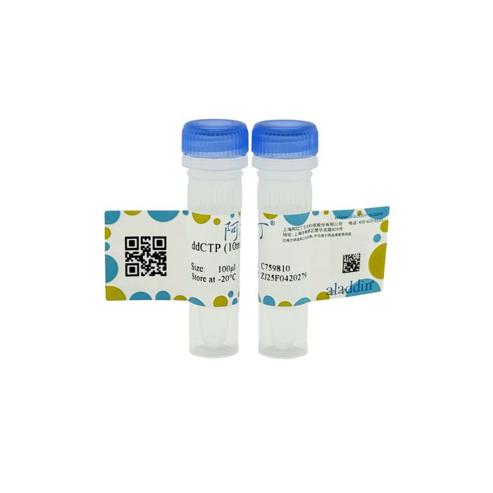 ddCTP (10mM)