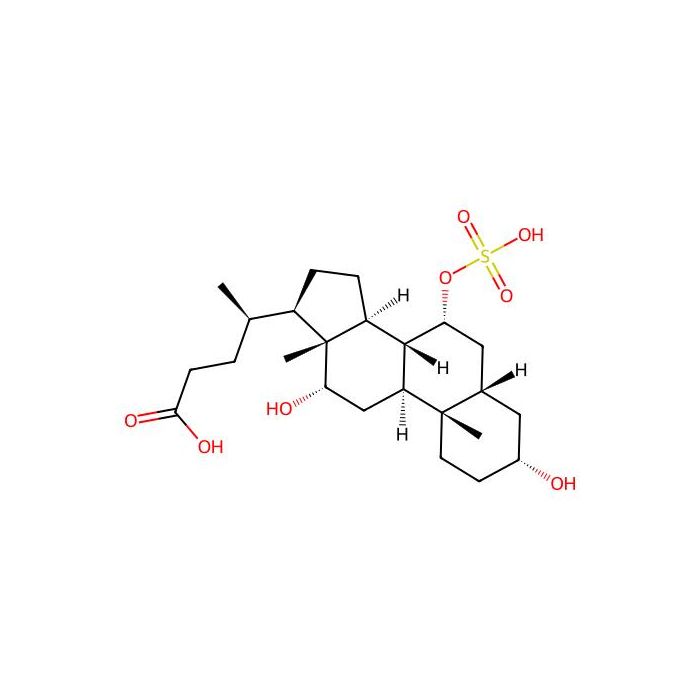 Cholic Acid 7-sulfate
