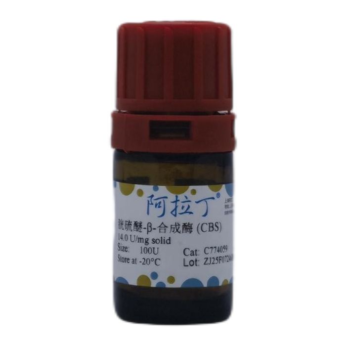 胱硫醚-β-合成酶 (CBS)