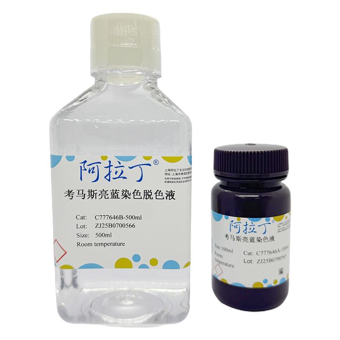 考马斯亮蓝染色试剂盒