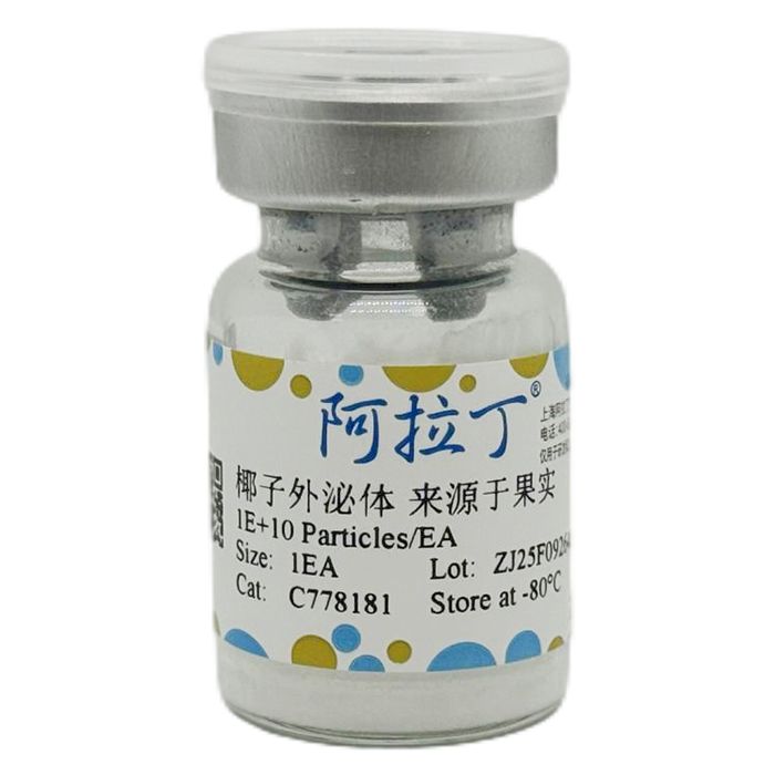 椰子外泌体 来源于果实