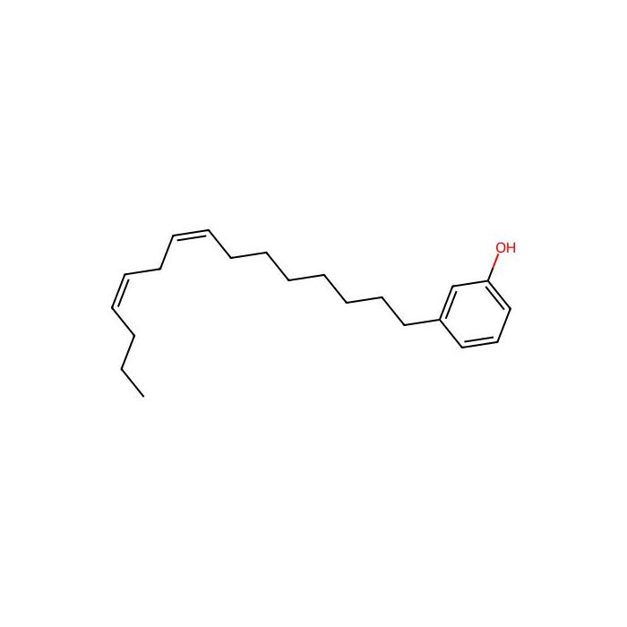 Cardanol diene