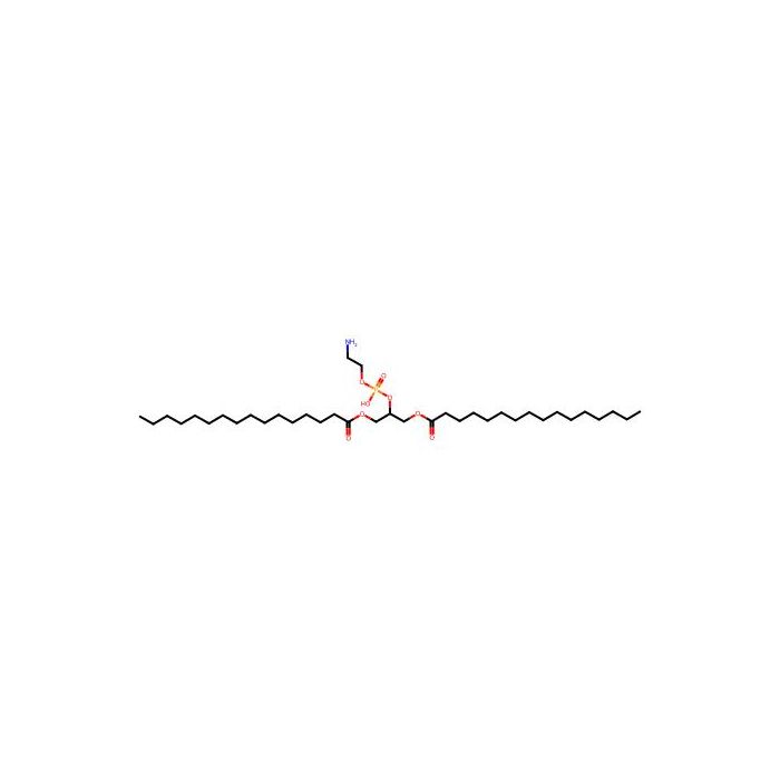 1,3-Dipalmitoyl-glycero-2-phosphoethanolamine