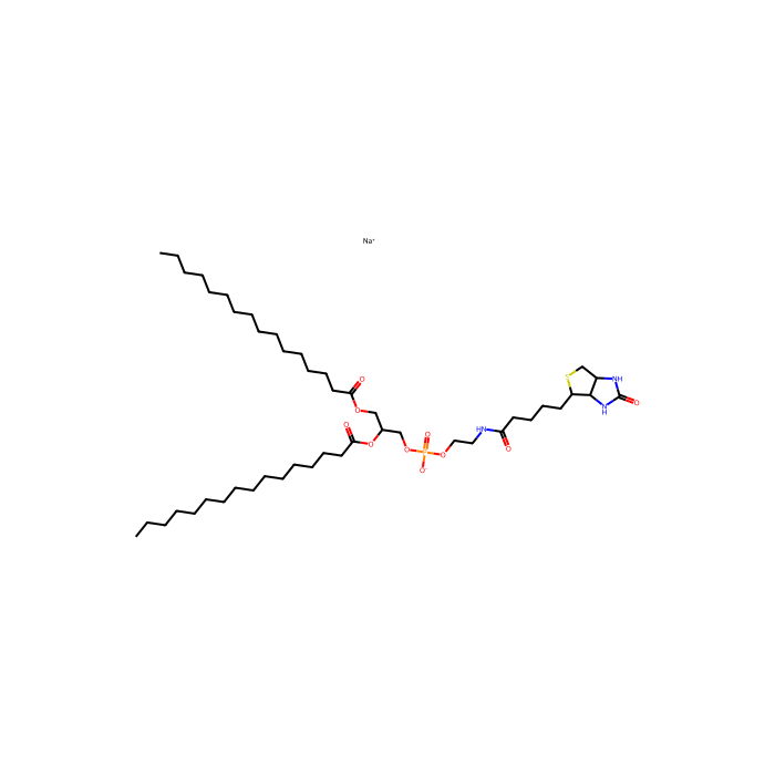 16:0 生物素 PE（钠盐）