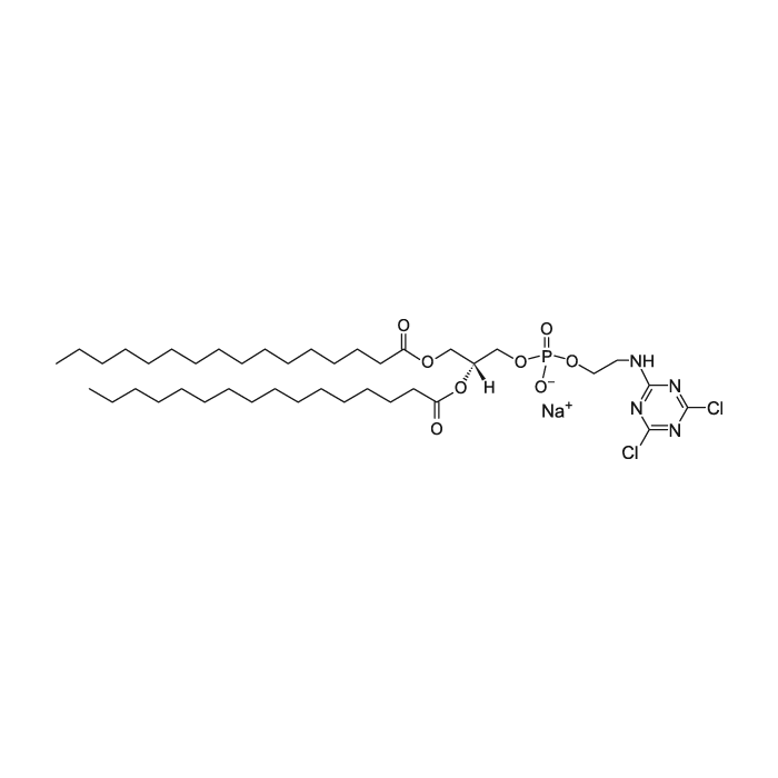 1,2-二棕榈酰基-sn-甘油-3-磷酸乙醇胺-N-(氰基)(钠盐)