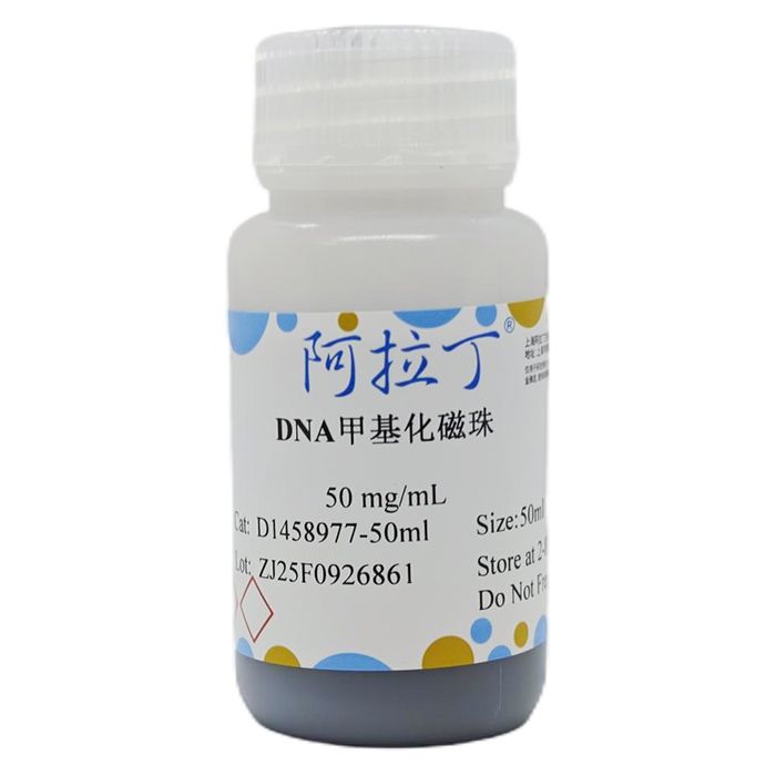 DNA甲基化磁珠