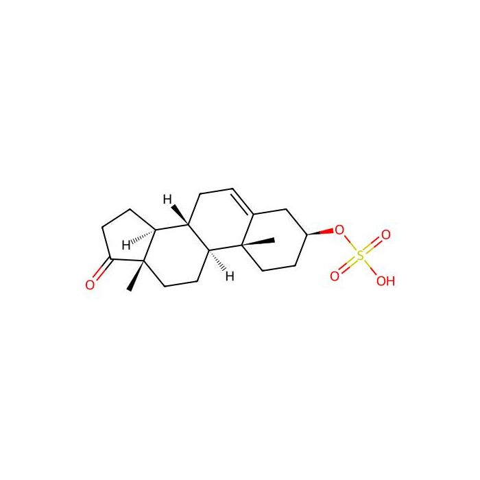 Dehydroepiandrosterone sulfate