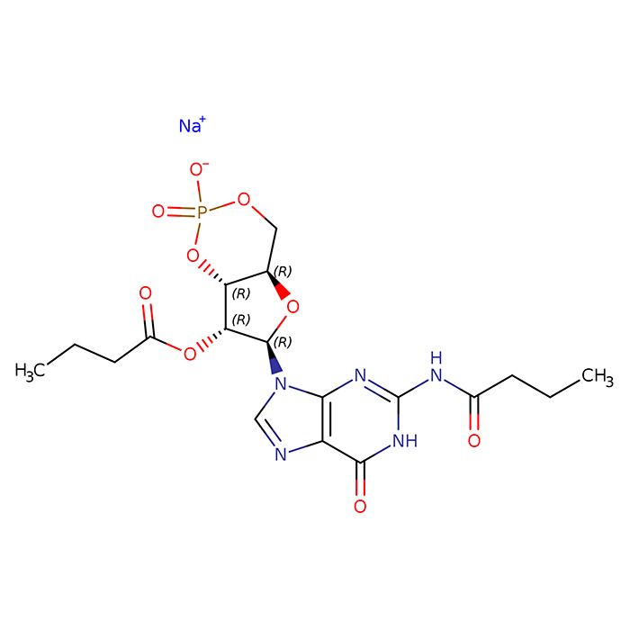 Dibutyryl-cGMP sodium