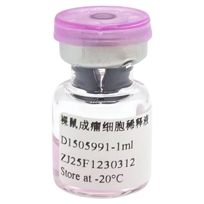 裸鼠成瘤细胞稀释液