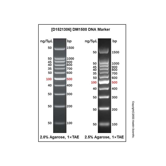 DM1500 DNA Marker 